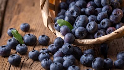 The Brand Behind Costco's Kirkland Organic Blueberries