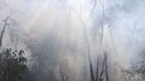 Australia raises bushfire risks ahead of El Nino summer