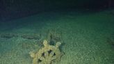 'A time capsule': 156-year-old sunken ship found in pristine condition in Lake Michigan