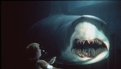 10 Great Shark Movies To Sink Your Teeth Into