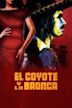 El Coyote y la Bronca