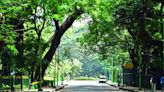 Tinny bins let rats have field day at Cubbon Park