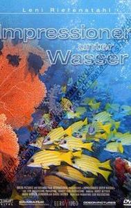 Impressionen unter Wasser