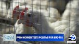 As another US farm worker tests positive for bird flu, experts assess transmission risks