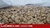 El cultivo del pistacho se dispara en España un 3.000% en 10 años