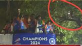 WATCH | Mumbai man climbs tree to watch Team India's victory parade up close, video viral on social media