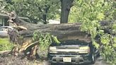 Garland neighborhoods wrecked by powerful storms Tuesday morning