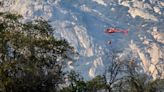 Rabbit Fire in Sequoia National Forest proves useful in fight to protect land