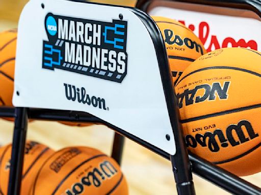 BOZICH | U of L, UK, IU basketball portal success should turn March misery to madness again