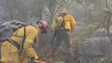 Reportan 4 incendios forestales en Nuevo León