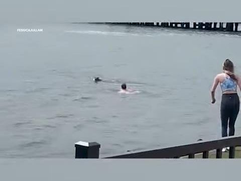 Watch: Man jumps into river to rescue dog in New Jersey