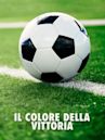 Il colore della vittoria