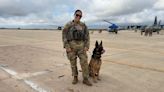 Congress may create medal to honor heroic military dogs