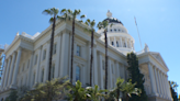 Which California bills survived 'suspense day'?