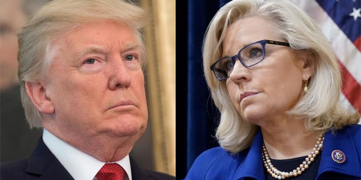 'Not a stable adult': Liz Cheney tells Trump exactly what makes him 'not fit for office'