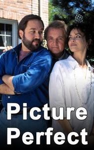 Picture Perfect (1995 film)