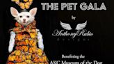 ‘The Pet Gala’ Designer Explains Designer Inspirations