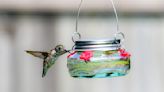 DIY Hummingbird Feeder: Expert Shares How To Make for Pennies, Plus Other Ways To Attract the Birds