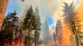 Out-of-control wildfire threatens Yosemite's famed sequoia trees