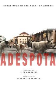 Adespota: Stray Dogs in the Heart of Athens