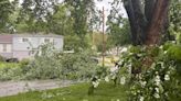 Iowa cities coordinate curbside, drop-off collection for storm debris