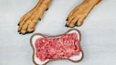 Should You Really Be Feeding Your Dog Raw Meat?