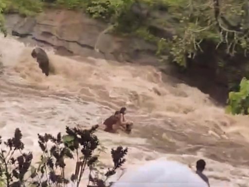 Three of family drown in waterfall in Maharashtra's Lonavala; 2 children missing