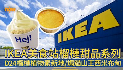 【IKEA榴槤雪糕】IKEA美食站榴槤甜品系列 最多追加5份榴槤肉！D24榴槤植物素新地回歸／焗貓山王榴槤西米布甸新登場