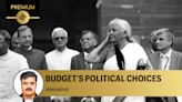 Budget 2024: Prioritising politics over economics