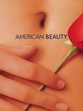 American Beauty (1999 film)