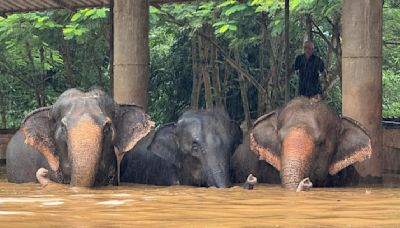 Fuertes lluvias en Tailandia provocan inundaciones en la ciudad turística de Chiang Mai