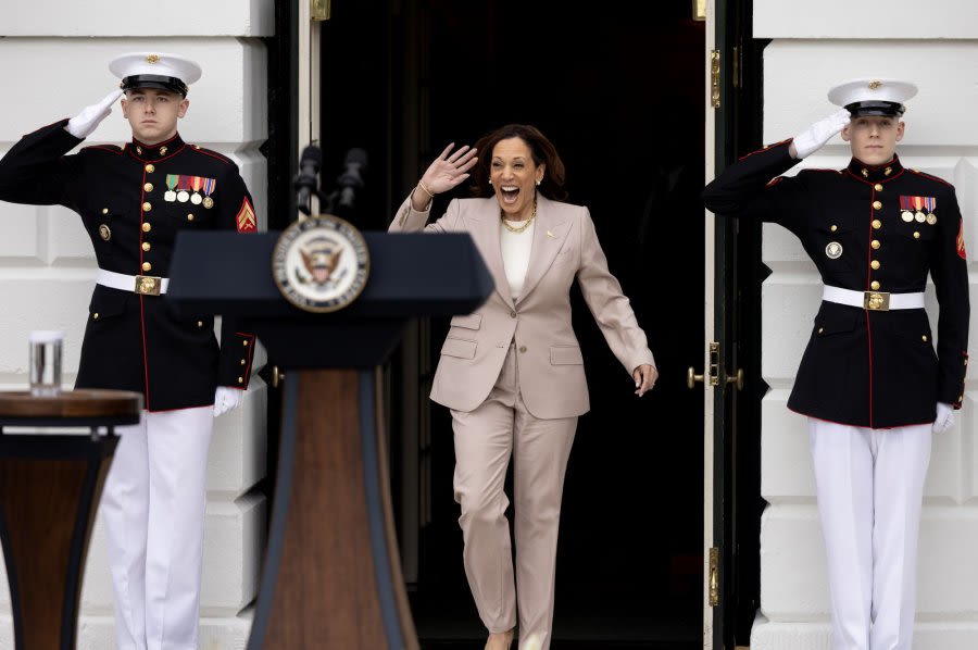 Secret Service agent removed from VP Harris' detail after 'distressing behavior'