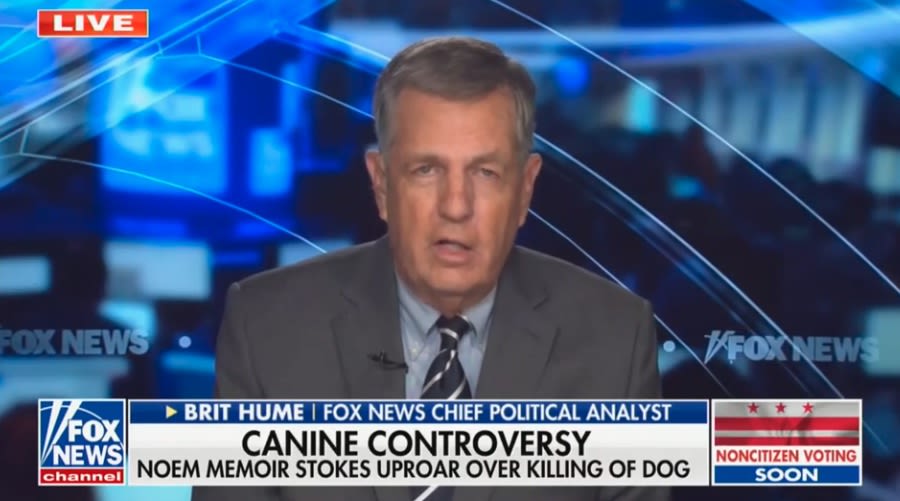 ‘Not Normal Behavior’: Fox’s Brit Hume Vexed by Kristi Noem’s Decision to Shoot Dog and Include in Book