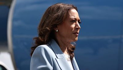 Wall Street Wolves and Silicon Valley Tech Bros for Kamala
