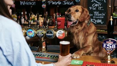 UK's top dog-friendly pubs named and they're all perfect for a summer's day out