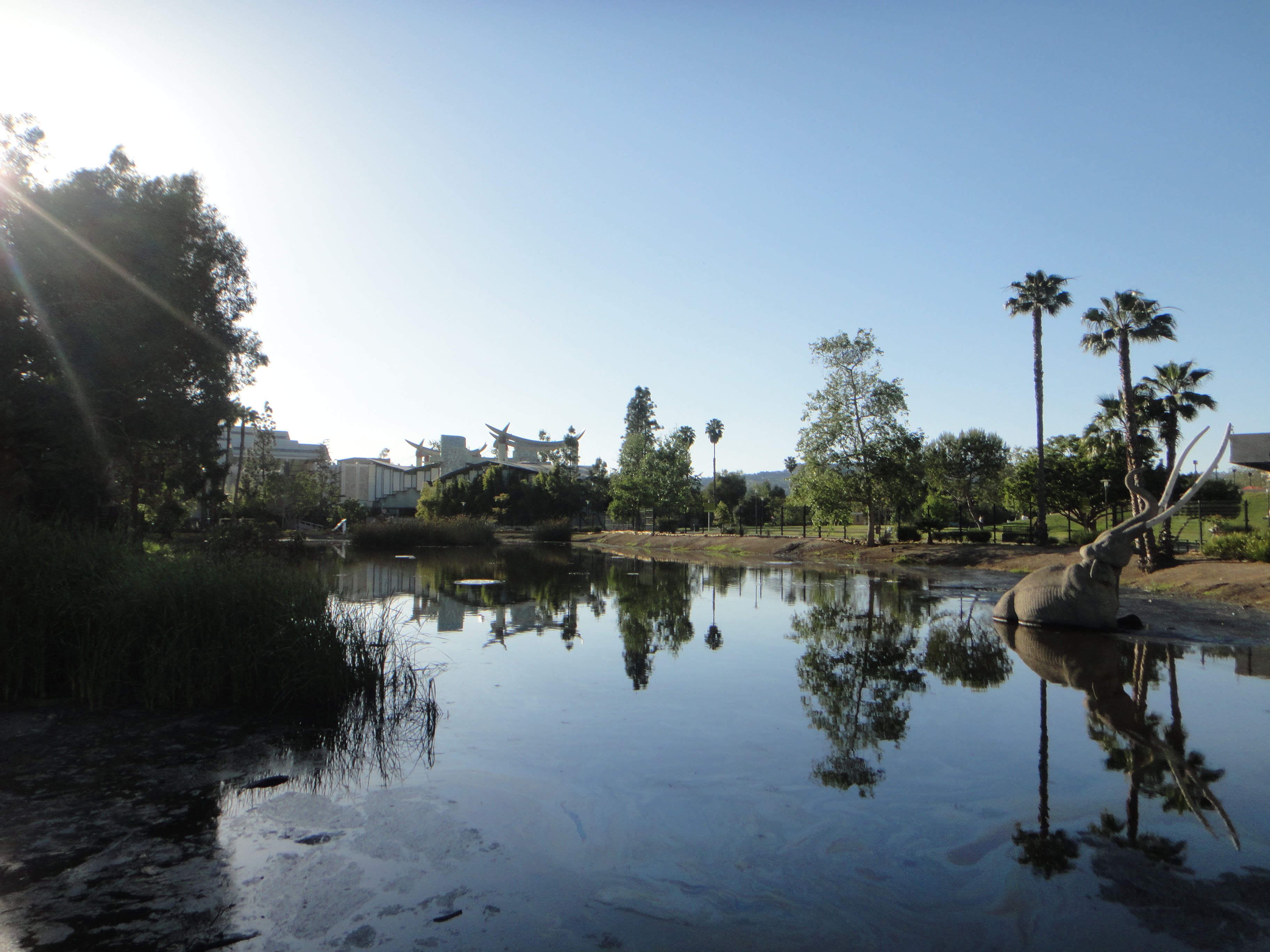 8 young people at La Brea Tar Pits hospitalized after contact with mysterious substance