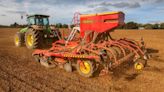 Cereals 2024: UK wheat area set for big bounce back this autumn - Farmers Weekly