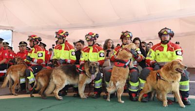 Cinco perros ‘bomberos’ se jubilaron en Quito