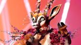 The Masked Singer's Gazelle Couldn't Hide Her Identity From Fan Sleuths