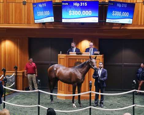 Gross Sales Up as Fasig-Tipton New York-Bred Sale Opens