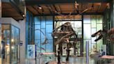 An insider's guide to the Witte Museum in San Antonio
