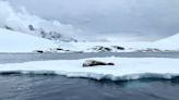 Los glaciares de la península Antártica aceleran su movimiento en verano