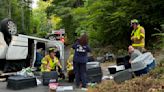 Camioneta con 14 cachorros a bordo choca en Connecticut; la mayoría de los perros están bien