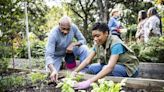 Gardener says it's your last chance to plant these three vegetables in July