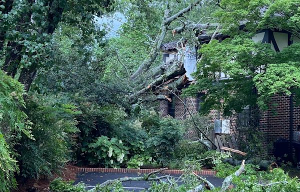 Woman killed when massive tree topples, crashes into Mountain Brook Village apartment