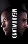 Meadowland (film)