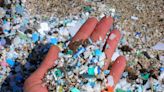 Ocean Plastic Sees Staggering Increase Since 2005, Study Finds