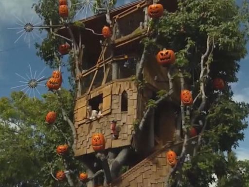 Sherman Oaks neighbors rally together to save Boney Island Treehouse