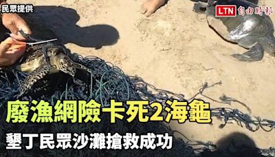 廢漁網險卡死2海龜 墾丁民眾沙灘搶救成功(民眾提供) - 自由電子報影音頻道