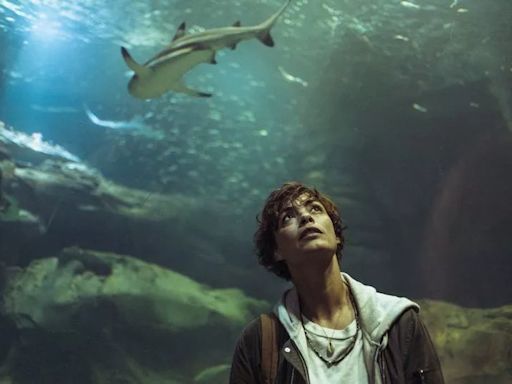 Netflix fans hail 'terrifying' new shark thriller 'one of the best ever made'